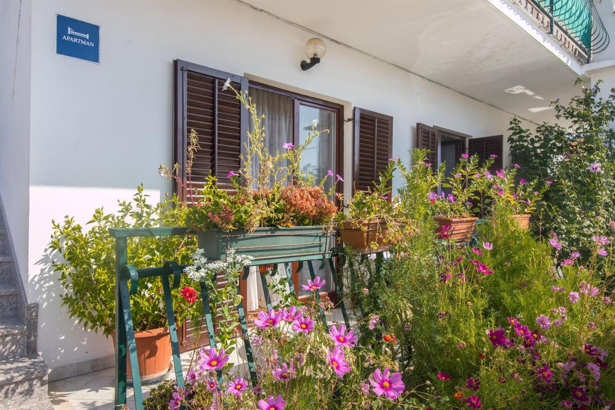 טרוגיר Apartment Vinka מראה חיצוני תמונה